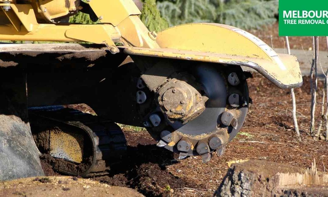 4 Reasons Your Property May Need Stump Grinding Services
