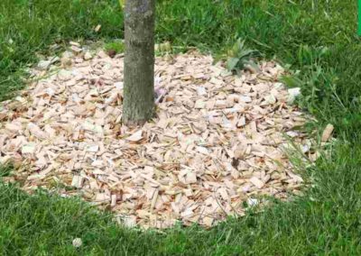 Mulching is an essential part of regulating the amount of moisture in your garden’s soil.