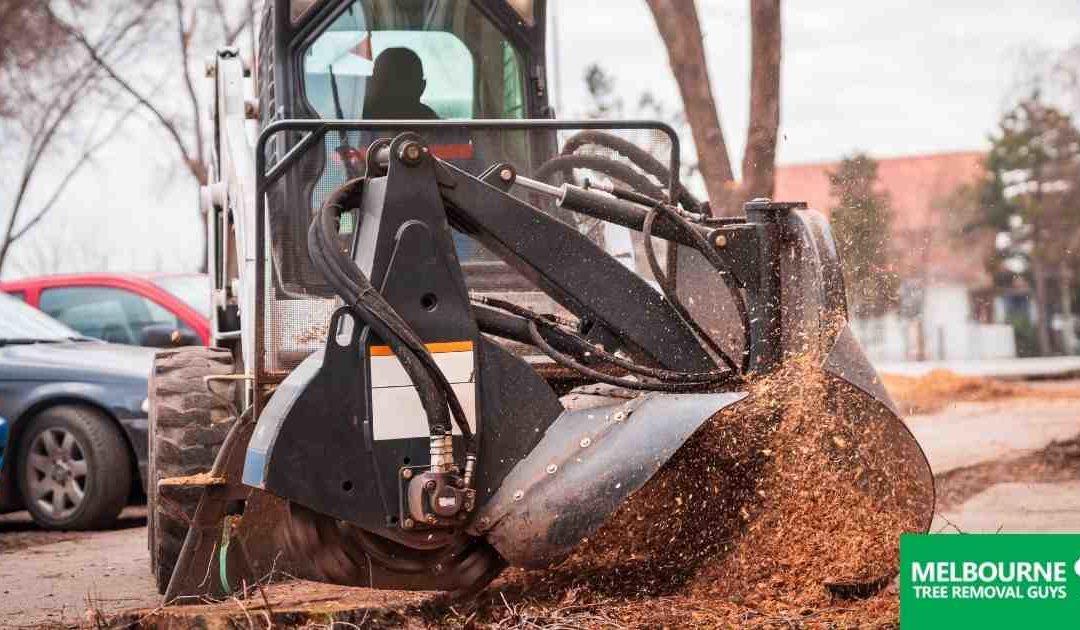 The Best Time for Tree and Stump Removal