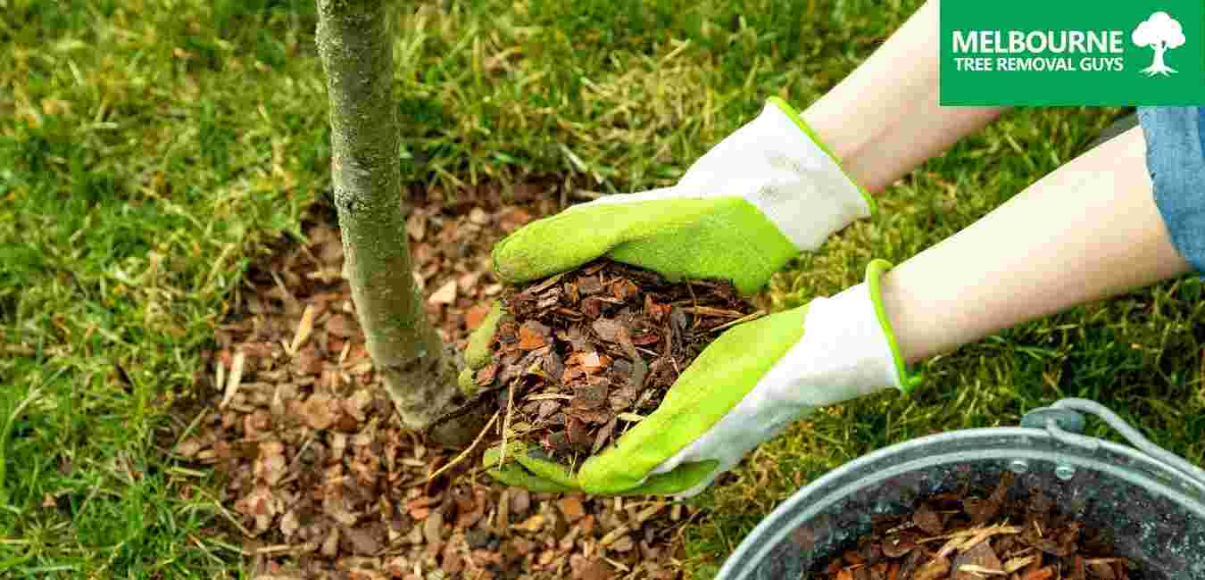 best mulching service company in melbourne