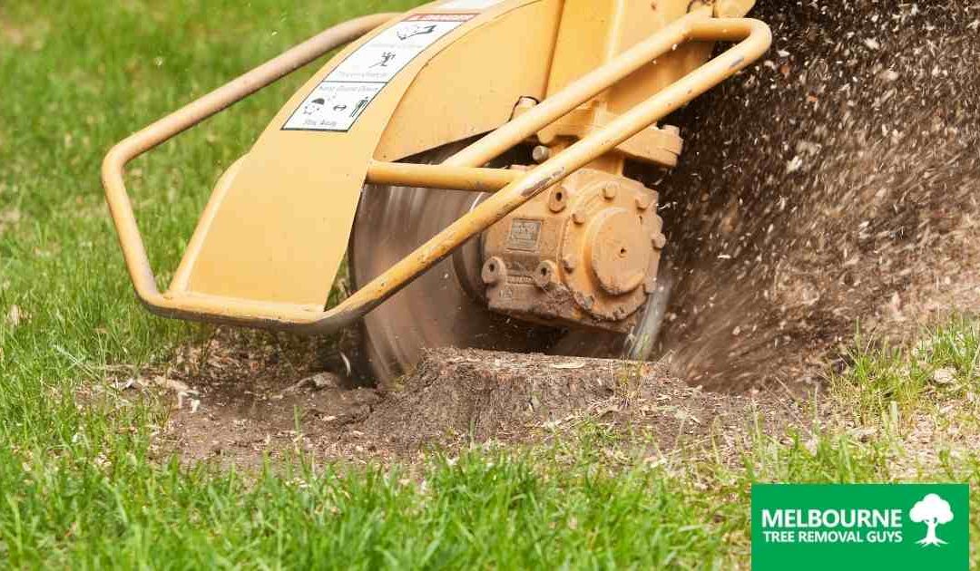 The Benefits of Our Stump Grinding Services