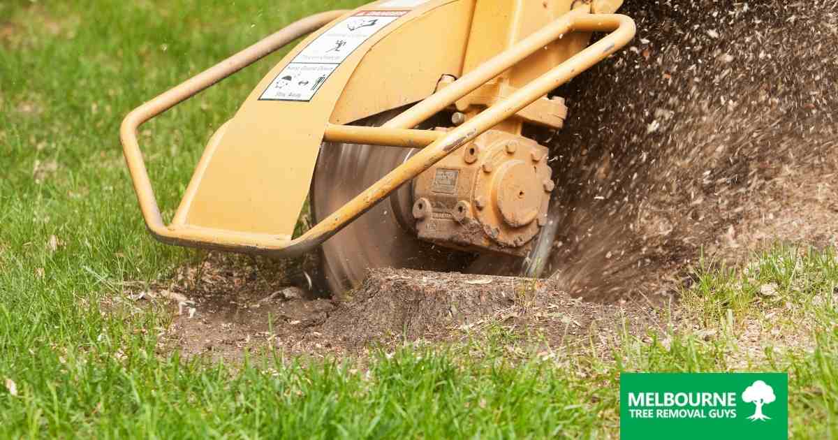 The Benefits of Our Stump Grinding Services