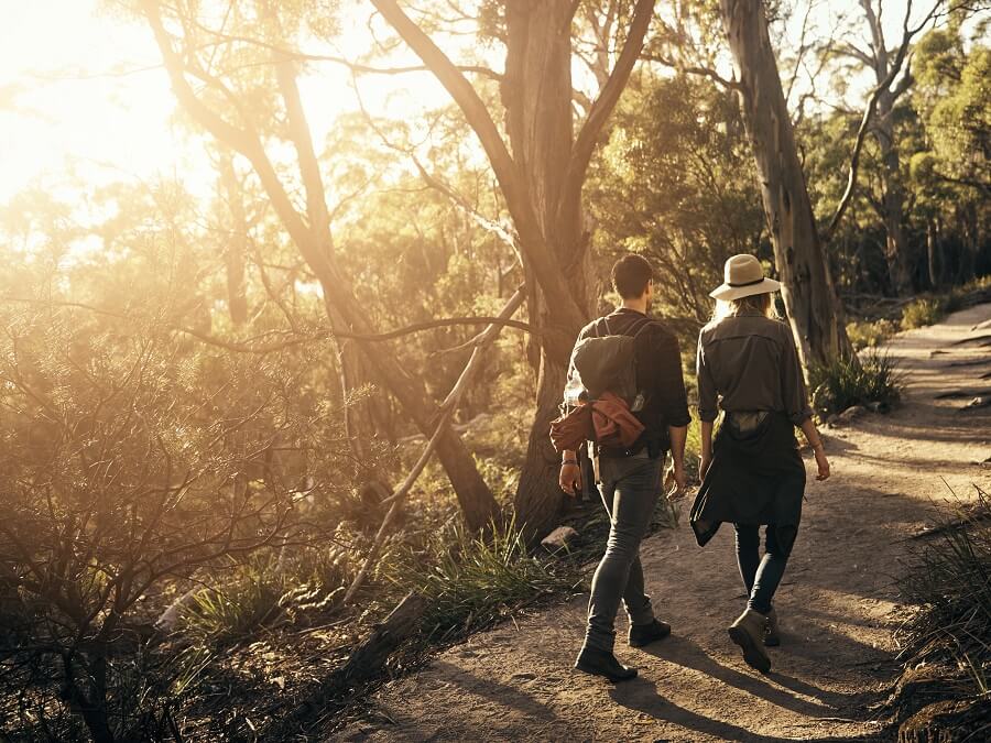 Beaconsfield Nature Conservation Reserve