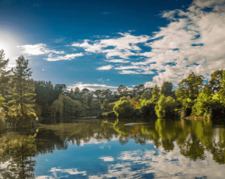 Wilson Botanic Park Berwick