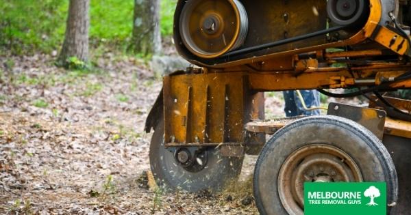 The Benefits of Stump Grinding