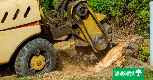 What Is Stump Grinding