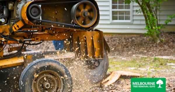 Stump Grinding: The Process and Benefits