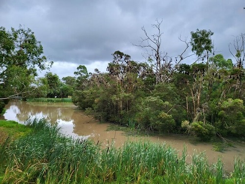 Myuna Wetlands