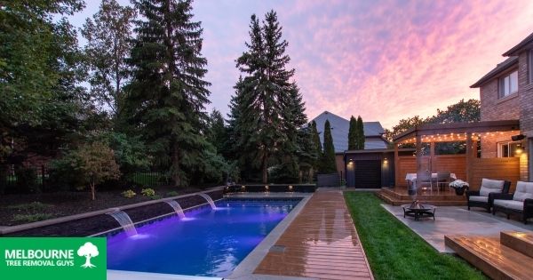 Here’s Why You Should Not Keep Trees Too Close to Your Pool