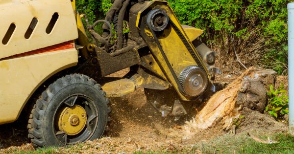 Get Stump Grinding Service From Professionals