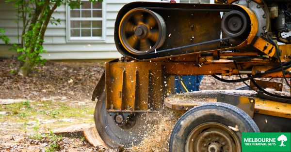 Why Leave the Stump Grinding Service to Experts?