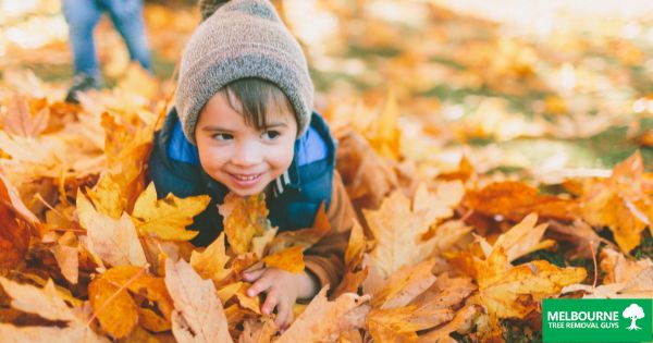 What to Do When Leaves Fall in Your Garden