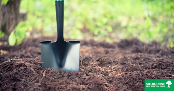 Mulching: what is it and why you should be doing it?