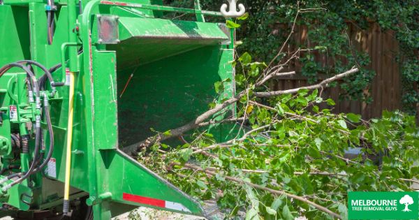 The Ultimate Guide to Tree Services in Melbourne