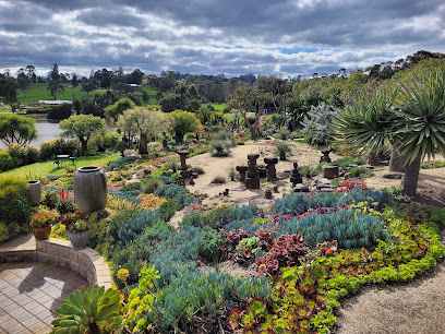 Attila Kapitany's Garden