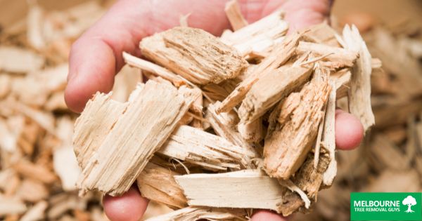 What To Do With Wood Chips From Stump Grinding