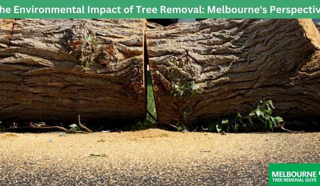 The Environmental Impact of Tree Removal: Melbourne's Perspective