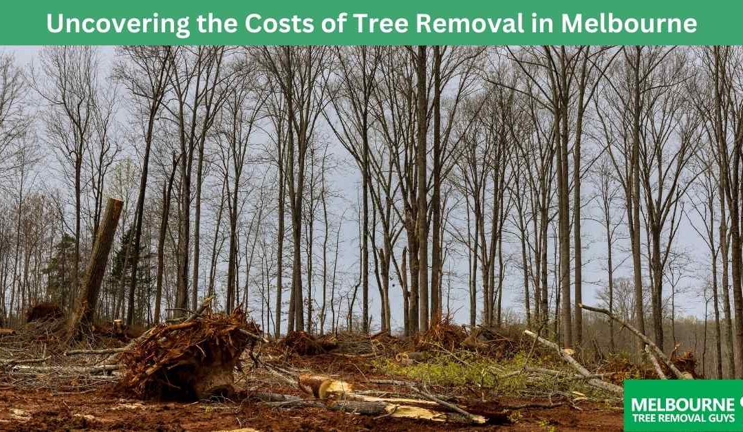Uncovering the Costs of Tree Removal in Melbourne