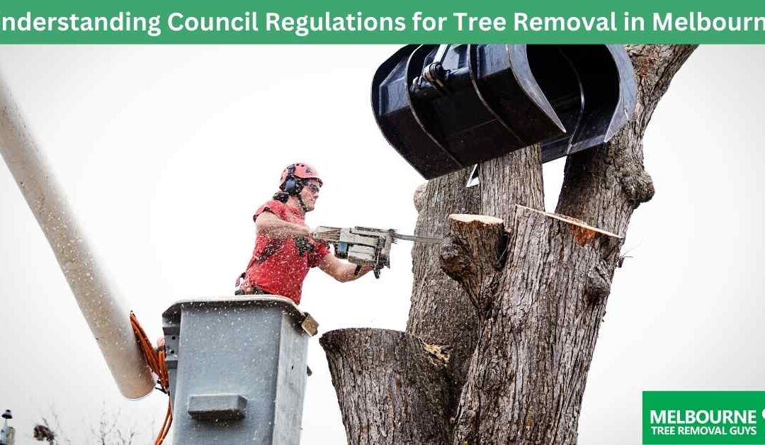 Understanding Council Regulations for Tree Removal in Melbourne