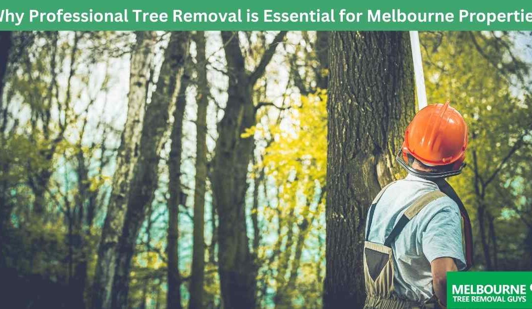 Why Professional Tree Removal is Essential for Melbourne Properties