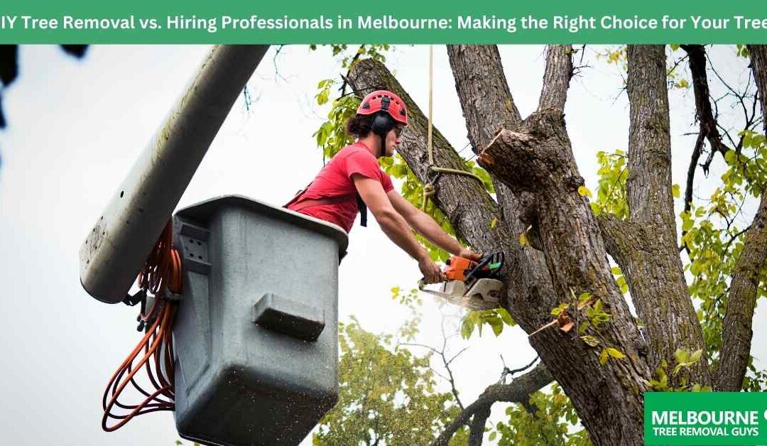 DIY Tree Removal vs. Hiring Professionals in Melbourne: Making the Right Choice for Your Trees