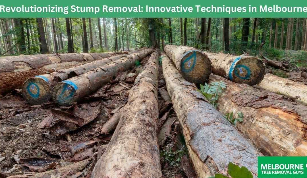 Revolutionizing Stump Removal: Innovative Techniques in Melbourne