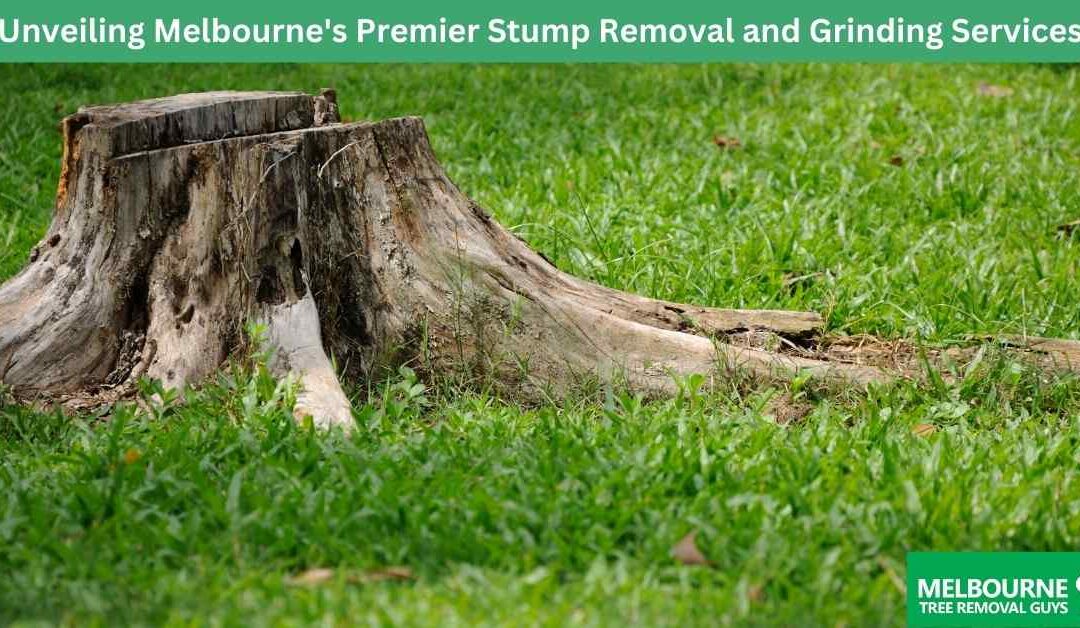 Unveiling Melbourne's Premier Stump Removal and Grinding Services
