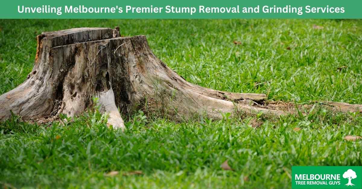 Unveiling Melbourne's Premier Stump Removal and Grinding Services ...